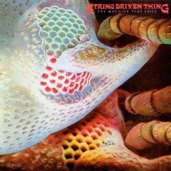 String Driven Thing - Machine That Cried - CD
